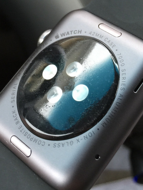 apple watch back 
