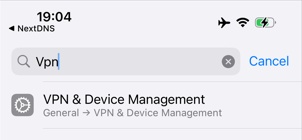 開啟 NextDNS VPN 設定