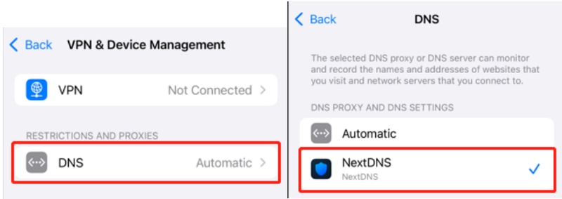 在設定中選擇 NextDNS